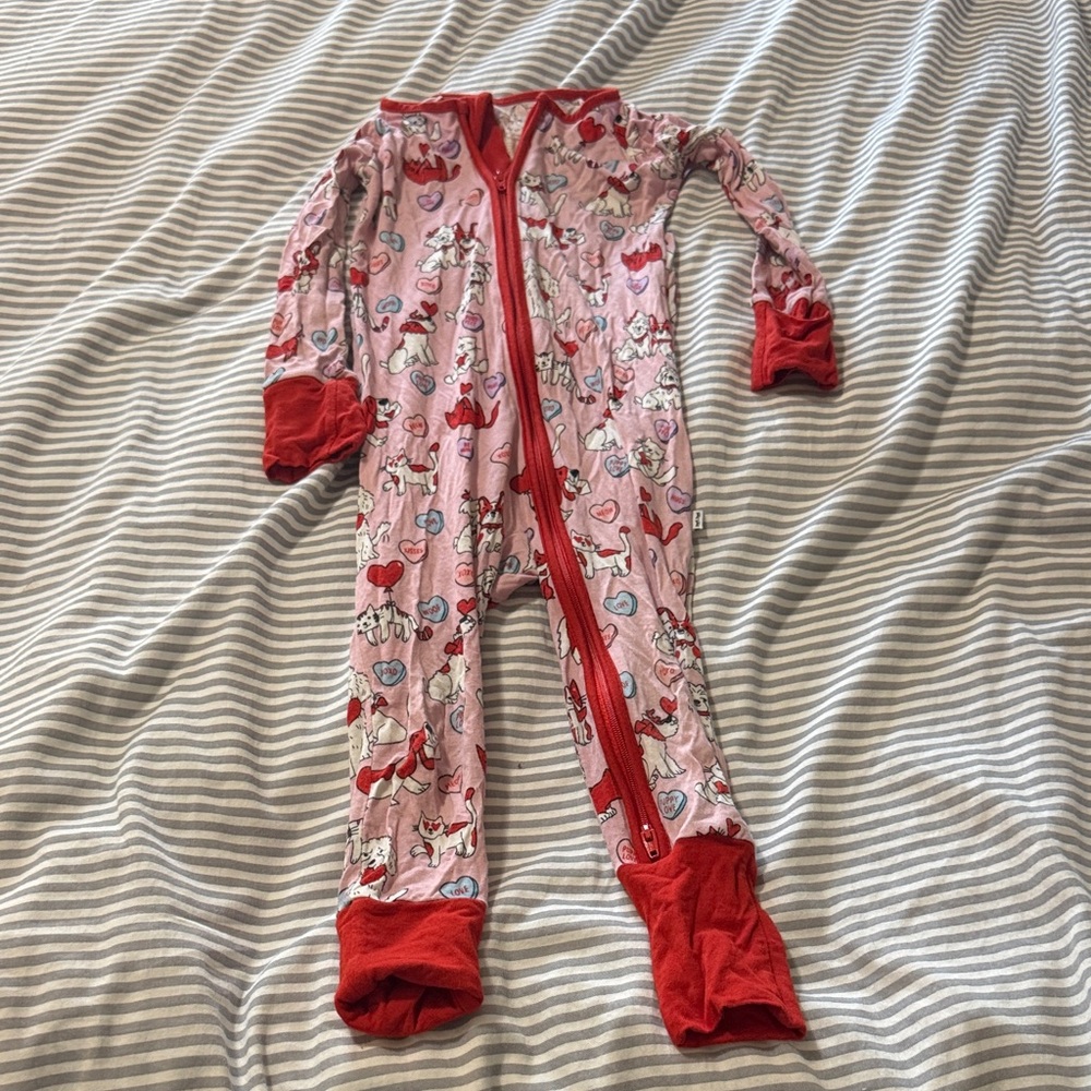 Little Sleepies Valentines Zippy